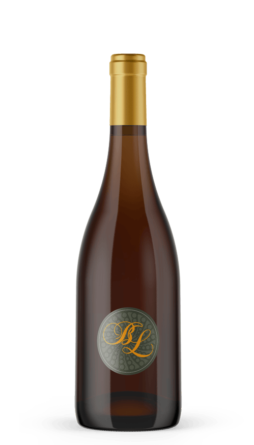 Un p'tit tour à vélo - Castillon côtes de bordeaux
